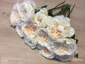 ROSE D. AUSTIN PURITY 50